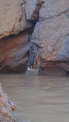 PA180094.jpg