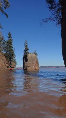 PA180106.jpg