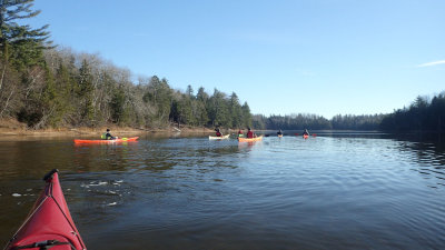 PB110006.jpg
