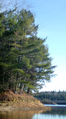 PB110016.jpg