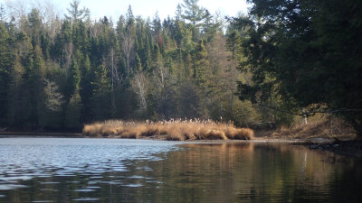 PB110037.jpg