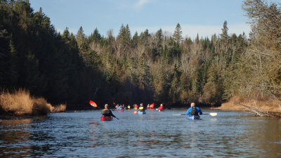 PB110051.jpg
