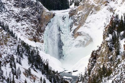 Yellowstone Falls.jpg