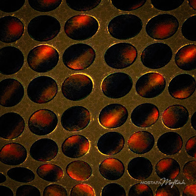 dots #8