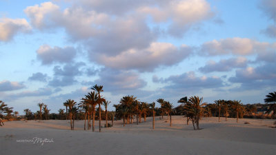 Balteem Coast | North of Egypt