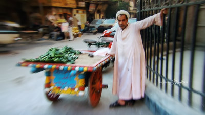 Cucumber Vendor