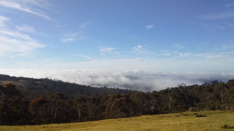 Merry Christmas from above the clouds