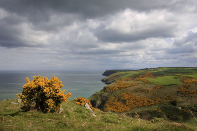 CEREDIGION