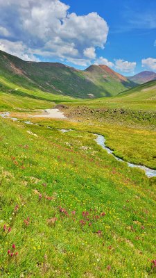 g12/29/776529/3/171873799.SZWSBiBa.jpg