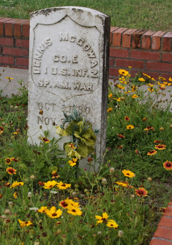 Wildflowers and Gravestones