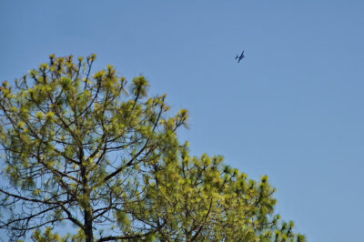 B-25 Over our House