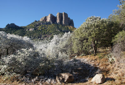 Frosty Chisos Mountains