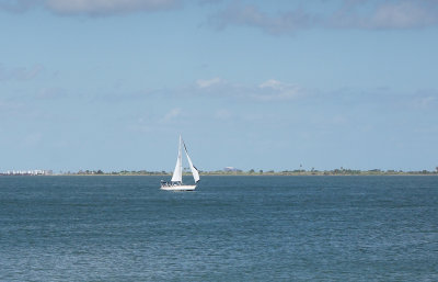 Sailing in the Bay