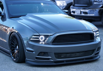 Mustang Custom