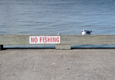 No Fishing