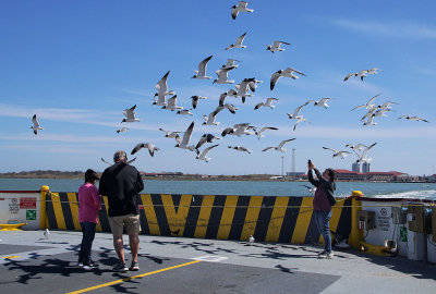 Ferry Followers