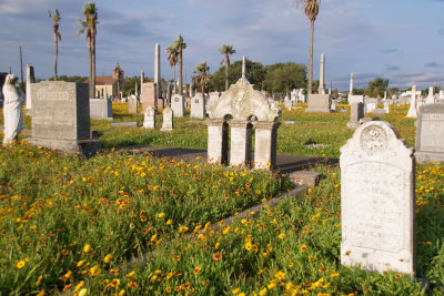 Wildflowers and Gravestones