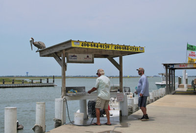 Cleaning Fish