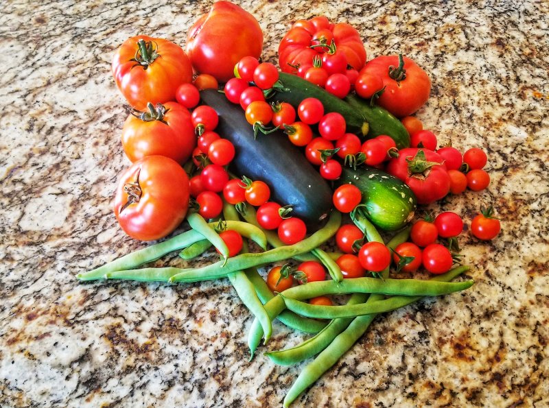 Bounty from our Garden