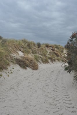 Dunes