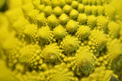 Romanesco Cauliflower