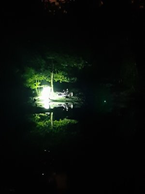 Night at the Lake 