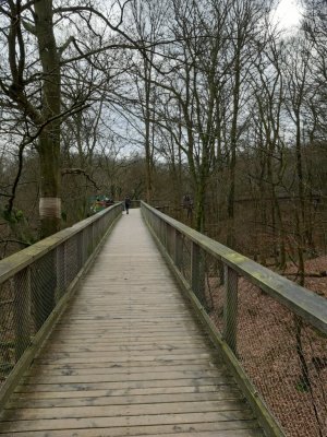 Treetop Path