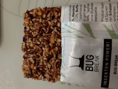 Almond-Sesame-Bug-Bar 