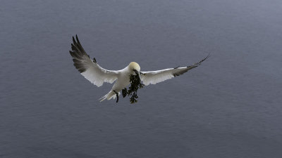 g12/30/1191630/3/168891468.SqiE46QY.jpg
