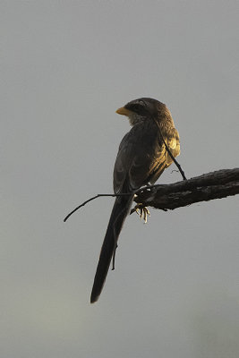 g12/30/1191630/3/170273697.iZW9pEp5.jpg