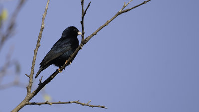 g12/30/1191630/3/170282608.irCjHYus.jpg