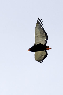 g12/30/1191630/3/170877980.OXrc3gy8.jpg