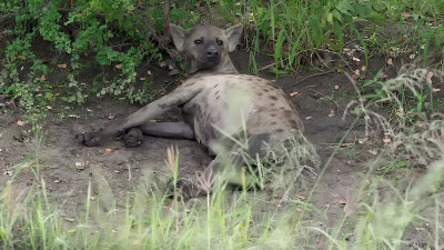 g12/30/1191630/3/170878143.LBUlHAku.jpg