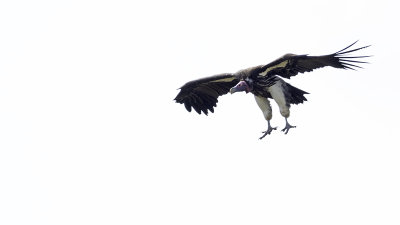 g12/30/1191630/3/170878154.AxcV0t58.jpg