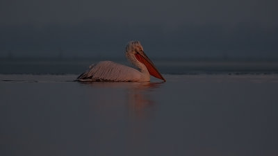 g12/30/1191630/3/172037299.QSERCByO.jpg