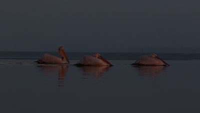 g12/30/1191630/3/172037300.azFAc1CN.jpg