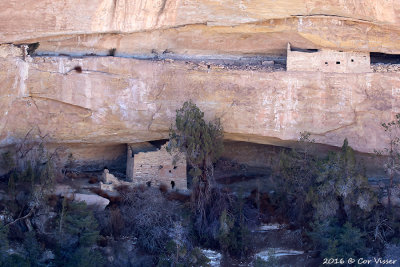 Mesa verde
