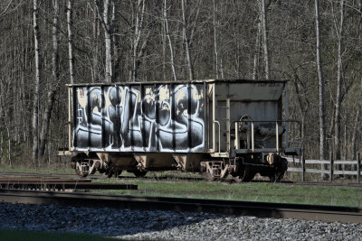 DSC_2181.jpg