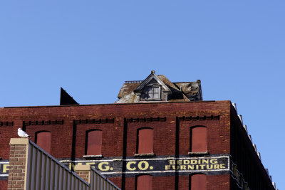 D72_2797.jpg