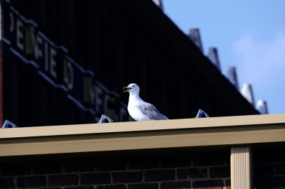 D75_0794.jpg