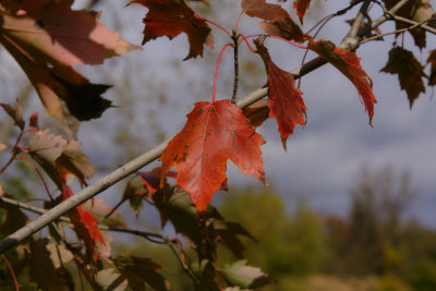 D72_2874.jpg