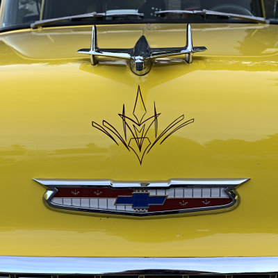 F1V00944.jpg