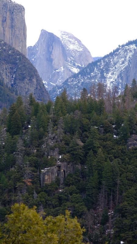 DSCF5997.JPG