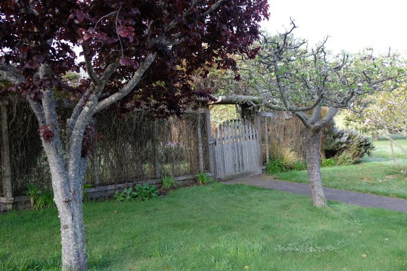 DSCF0127.JPG