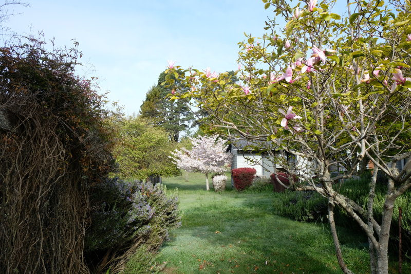 DSCF0129.JPG