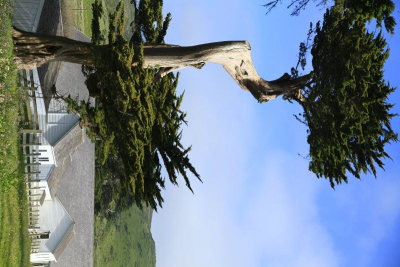 _MG_9505.JPG