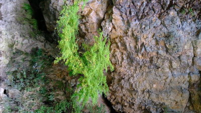 DSCF0159.JPG