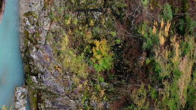 DSCF0254.JPG