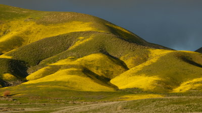 DSCF1559.JPG