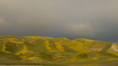 DSCF1564.JPG
